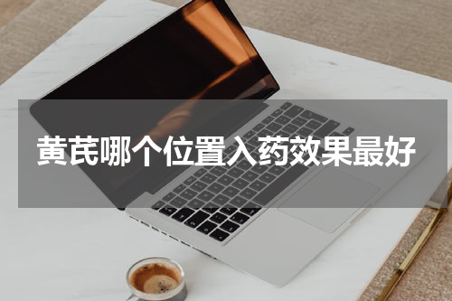 黄芪哪个位置入药效果最好
