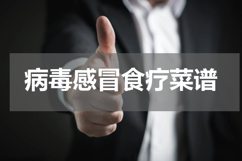 病毒感冒食疗菜谱