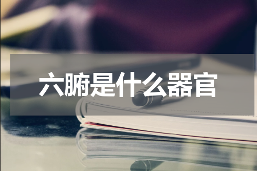 六腑是什么器官