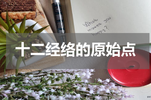 十二经络的原始点