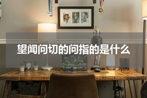 望闻问切的问指的是什么