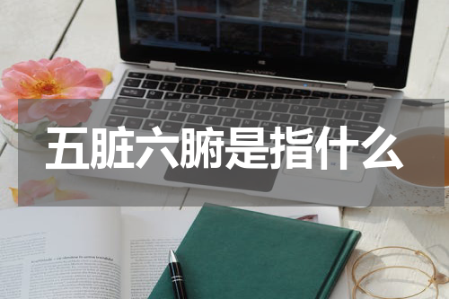 五脏六腑是指什么