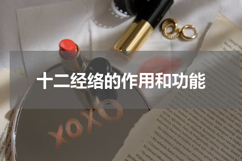 十二经络的作用和功能