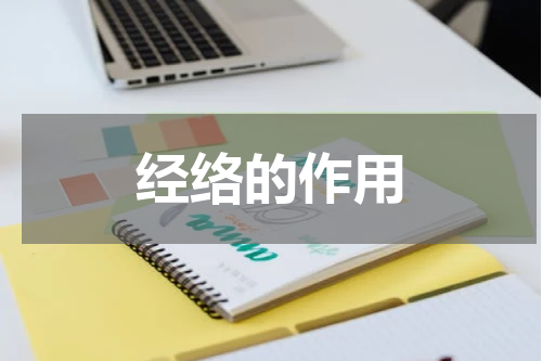 经络的作用