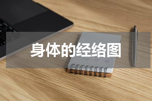身体的经络图