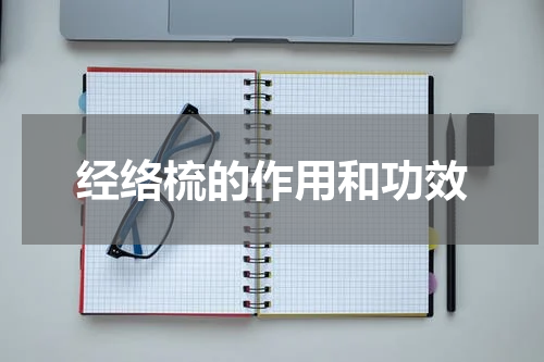 经络梳的作用和功效