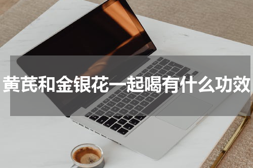 黄芪和金银花一起喝有什么功效