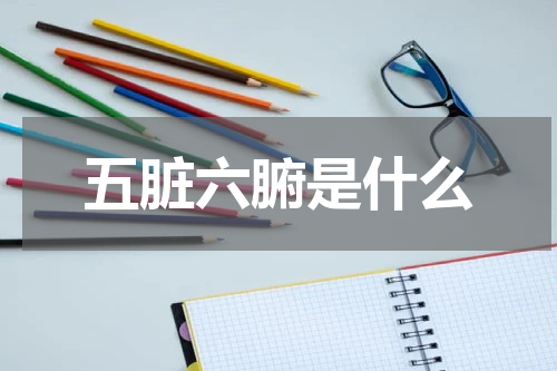 五脏六腑是什么