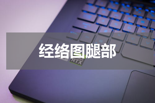 经络图腿部