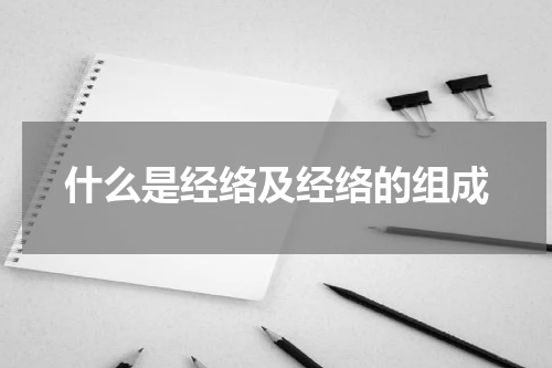 什么是经络及经络的组成
