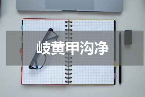 岐黄甲沟净