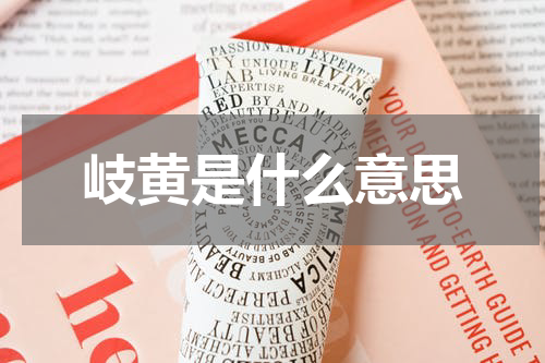 岐黄是什么意思