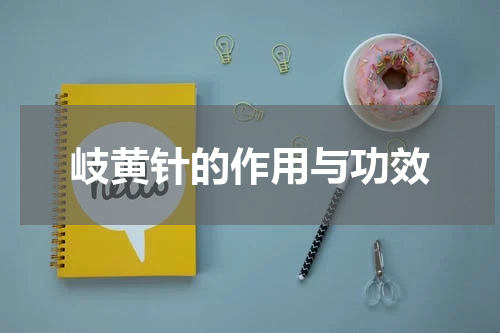 岐黄针的作用与功效