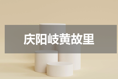 庆阳岐黄故里