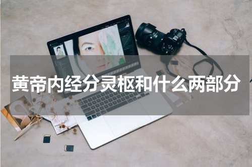 黄帝内经分灵枢和什么两部分