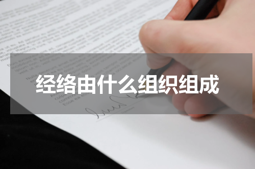 经络由什么组织组成