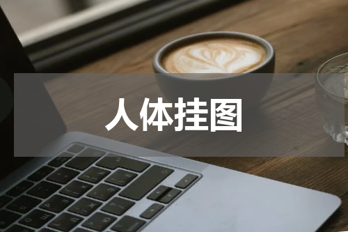 人体挂图