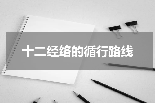十二经络的循行路线