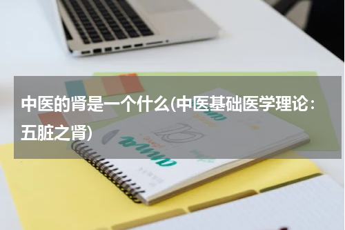 中医的肾是一个什么(中医基础医学理论：五脏之肾)