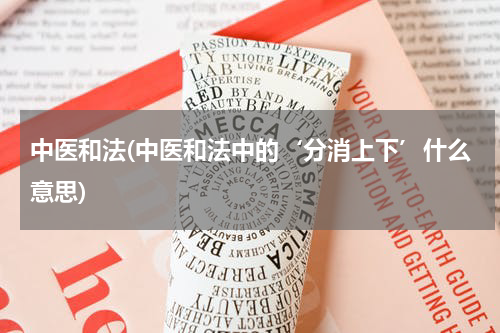 中医和法(中医和法中的‘分消上下’什么意思)