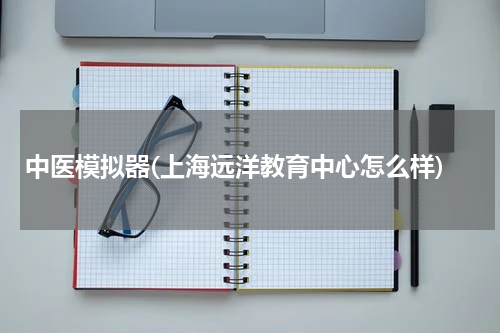 中医模拟器(上海远洋教育中心怎么样)