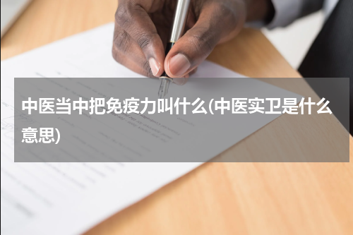 中医当中把免疫力叫什么(中医实卫是什么意思)