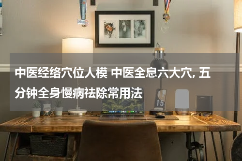 中医经络穴位人模 中医全息六大穴, 五分钟全身慢病祛除常用法