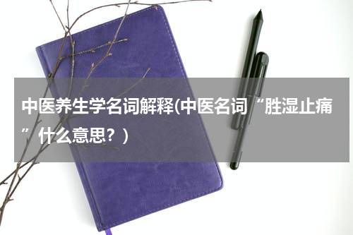 中医养生学名词解释(中医名词“胜湿止痛”什么意思？)