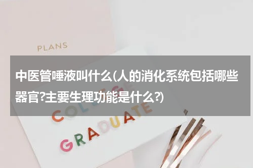 中医管唾液叫什么(人的消化系统包括哪些器官?主要生理功能是什么?)