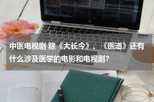 中医电视剧 除《大长今》、《医道》还有什么涉及医学的电影和电视剧？