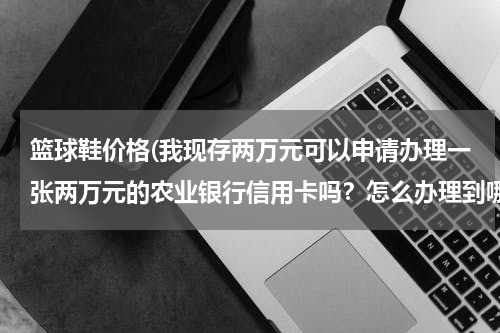 篮球鞋价格(我现存两万元可以申请办理一张两万元的农业银行信用卡吗？怎么办理到哪里办)