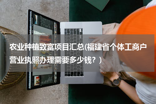 农业种植致富项目汇总(福建省个体工商户营业执照办理需要多少钱？)