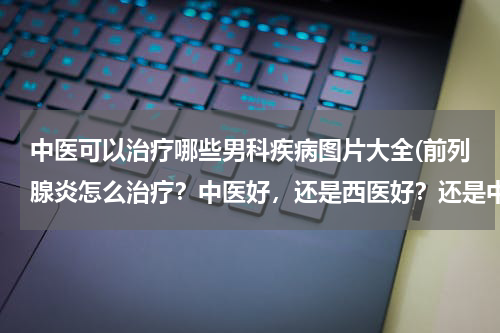 中医可以治疗哪些男科疾病图片大全(前列腺炎怎么治疗？中医好，还是西医好？还是中西合璧？)