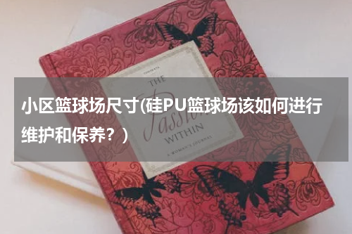 小区篮球场尺寸(硅PU篮球场该如何进行维护和保养？)