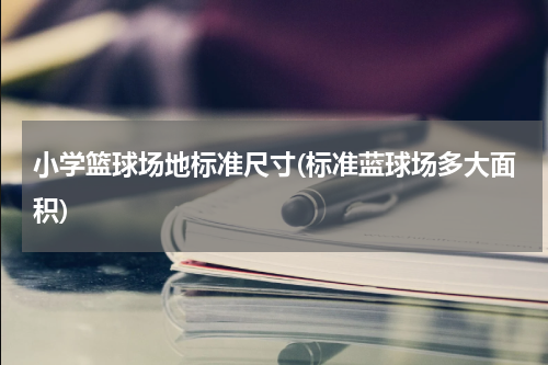 小学篮球场地标准尺寸(标准蓝球场多大面积)