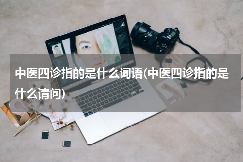 中医四诊指的是什么词语(中医四诊指的是什么请问)