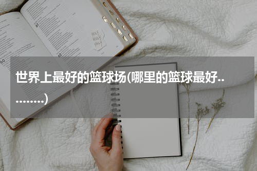 世界上最好的篮球场(哪里的篮球最好..........)
