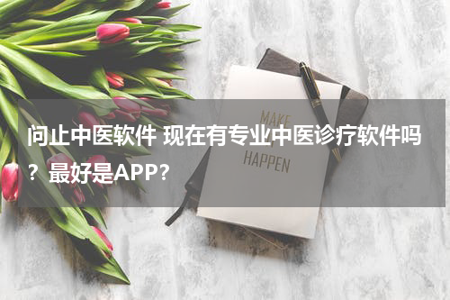 问止中医软件 现在有专业中医诊疗软件吗？最好是APP？