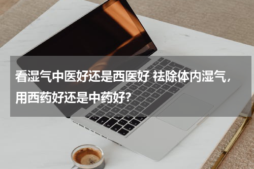 看湿气中医好还是西医好 祛除体内湿气，用西药好还是中药好？
