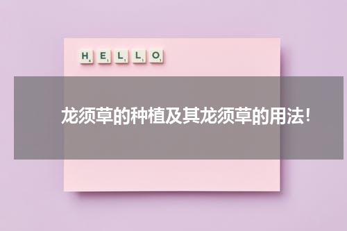 　　龙须草的种植及其龙须草的用法！
