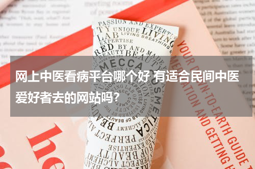 网上中医看病平台哪个好 有适合民间中医爱好者去的网站吗？