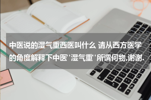 中医说的湿气重西医叫什么 请从西方医学的角度解释下中医"湿气重"所谓何物,谢谢.