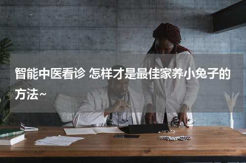 智能中医看诊 怎样才是最佳家养小兔子的方法~