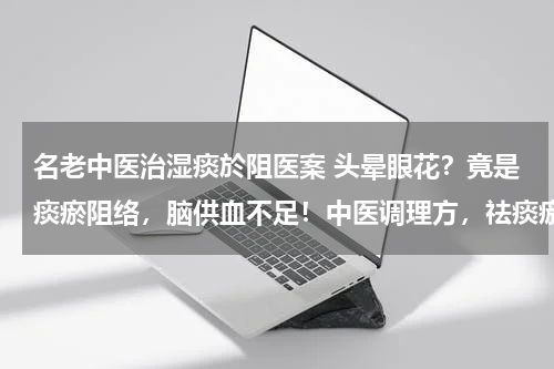 名老中医治湿痰於阻医案 头晕眼花？竟是痰瘀阻络，脑供血不足！中医调理方，祛痰瘀止头晕