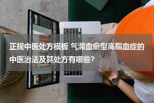 正规中医处方模板 气滞血瘀型高脂血症的中医治法及其处方有哪些？