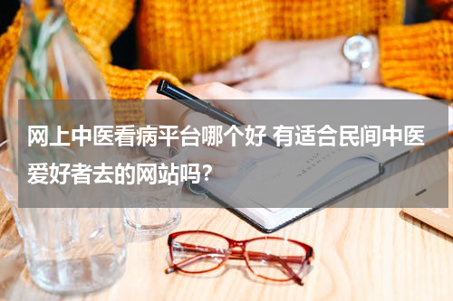 网上中医看病平台哪个好 有适合民间中医爱好者去的网站吗？