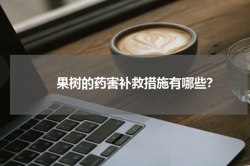 　　果树的药害补救措施有哪些？