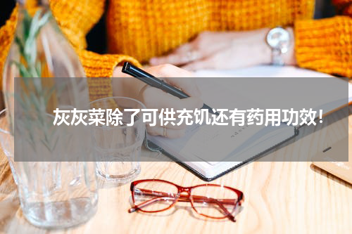 　　灰灰菜除了可供充饥还有药用功效！