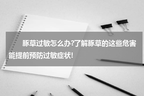 　　豚草过敏怎么办?了解豚草的这些危害能提前预防过敏症状!