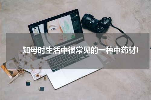 　　知母时生活中很常见的一种中药材!